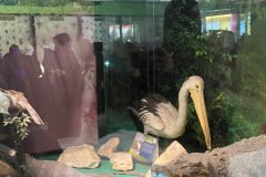 Field Trip 2025 WOW Tangerang