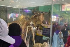 Field-Trip-2025-WOW-Tangerang-25