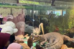 Field-Trip-2025-WOW-Tangerang-4